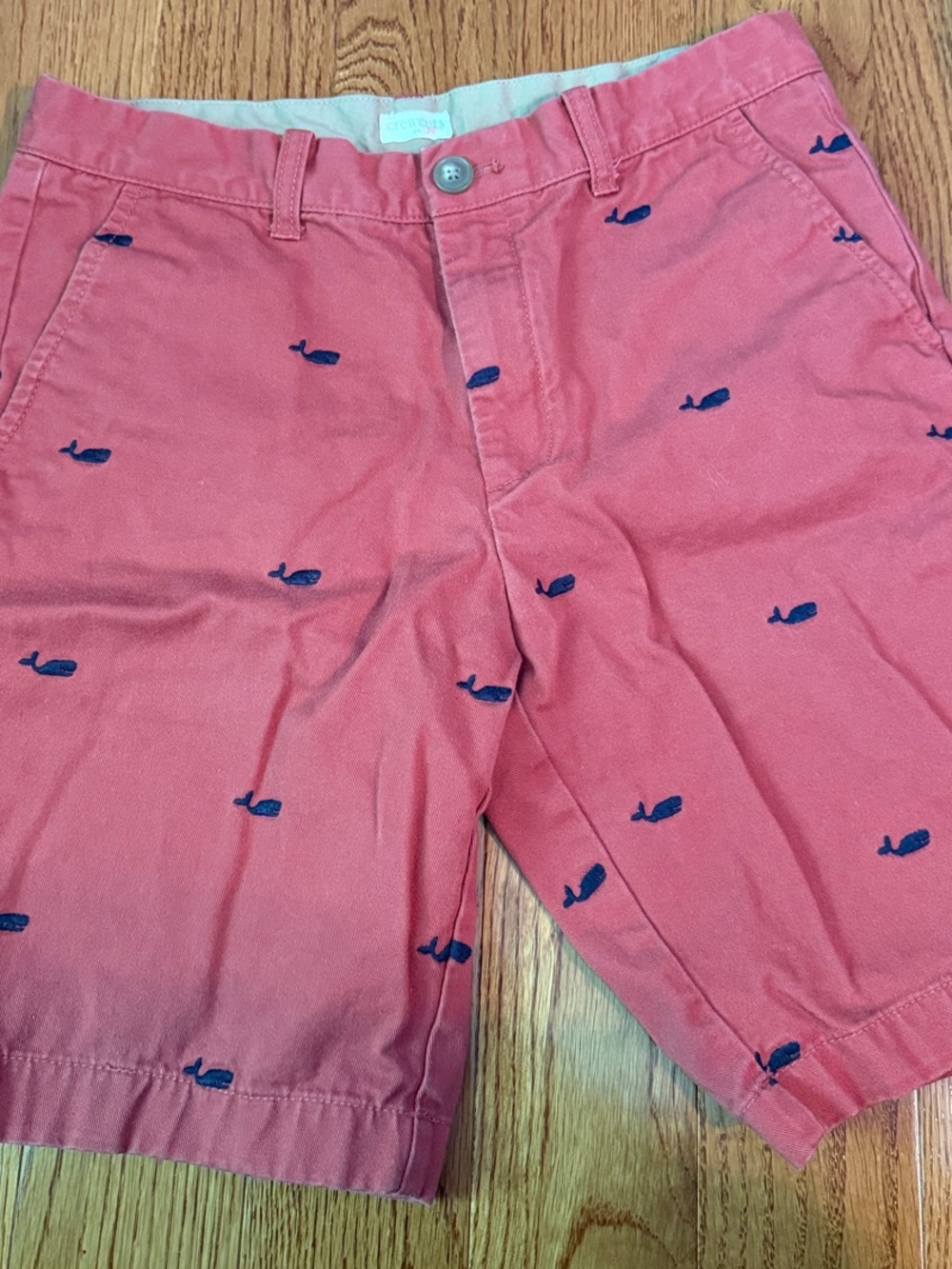 Crewcuts Boys Coral Embroidered Whale Shorts 14